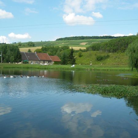 Bed and Breakfast Domaine Du Moulin De L'Etang Chatillon-sur-Marne Экстерьер фото