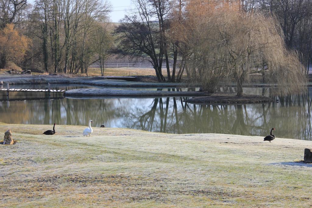 Bed and Breakfast Domaine Du Moulin De L'Etang Chatillon-sur-Marne Экстерьер фото