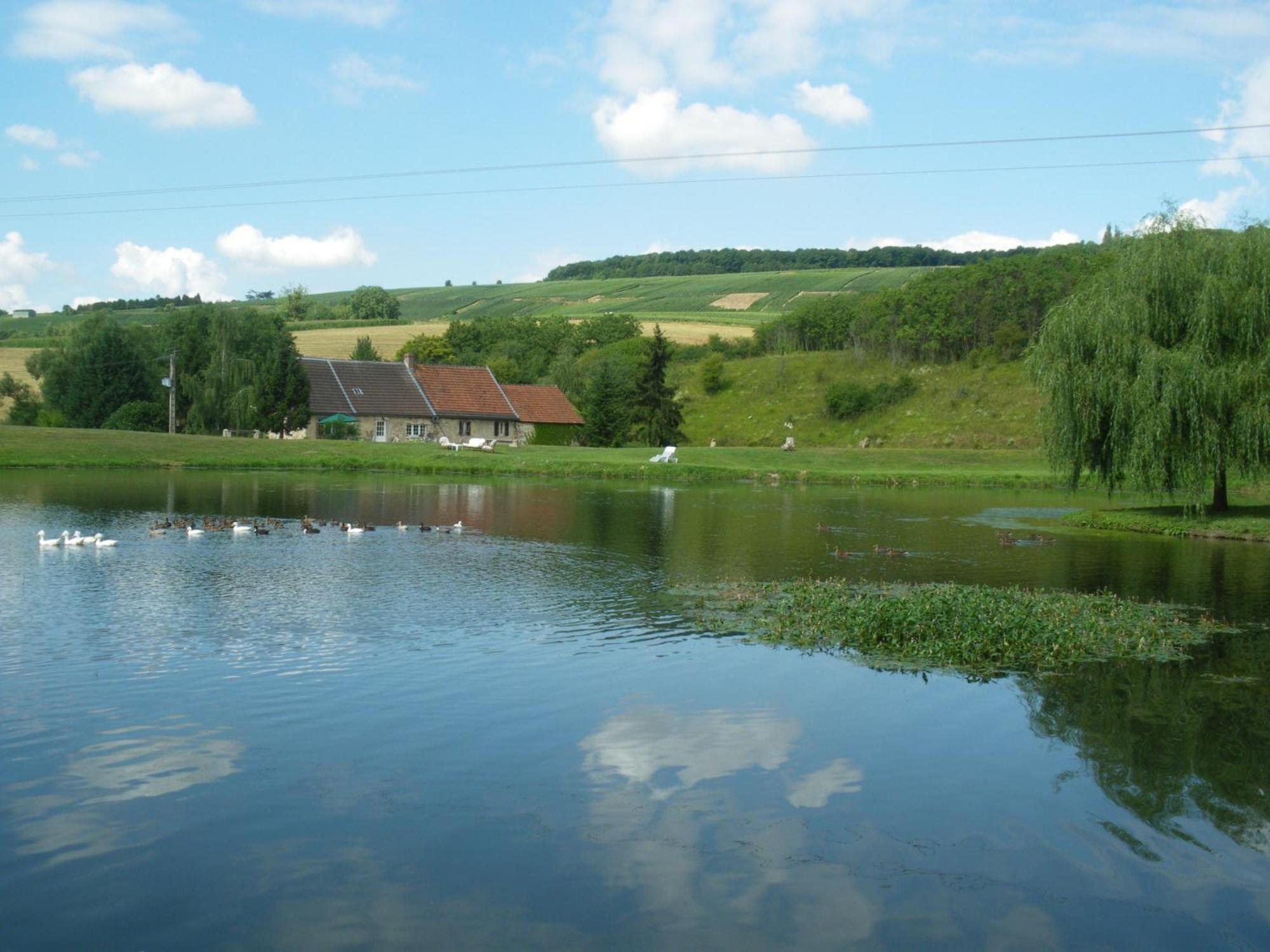 Bed and Breakfast Domaine Du Moulin De L'Etang Chatillon-sur-Marne Экстерьер фото